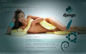 Развертывание django на VDS используя Apache, mod_wsgi, Django, MySQL, Virtualenv в Ubuntu\Debian